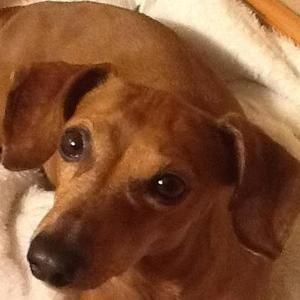 Meet your Posher, Karen